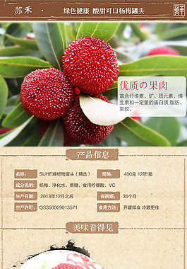 杨梅水果天猫素材