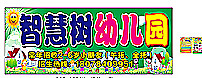 智慧树图片