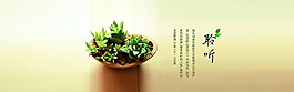 花盆海报