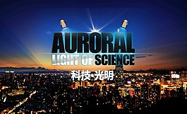 地产 海报 广告 高档