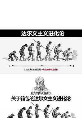 拉杆箱详情