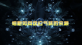 细胞的气味来源
