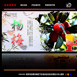 杨梅图片