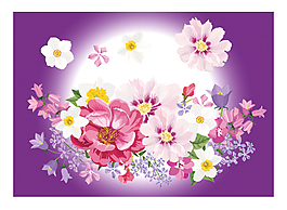 矢量美丽花卉图片