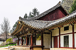 公园里的建筑物