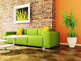 salotti简约装潢装潢素材绿色沙发和植物黑色沙发客厅装潢室内装潢
