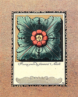 创意花朵装饰画图片