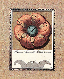 创意花朵装饰画图片