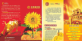贝格富投机机构宣传折页图片