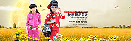 秋季  雏菊 落叶 麦田 黄色