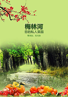 蔬菜手机端海报封面设计排版