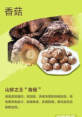 香菇手机端设计哈排版详情
