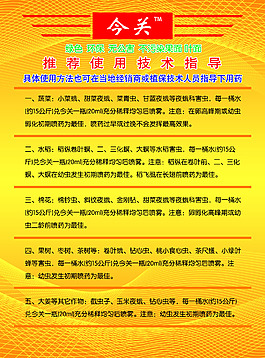 今关
