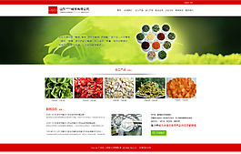 绿色食品网站模板