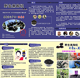 清新底色 植物图片