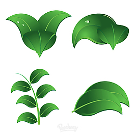 绿色植物