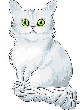 波斯猫标签博冠波斯猫望远镜海报矢量猫咪可爱卡通的波斯猫插画波斯猫