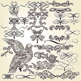 鸟类与装饰花纹