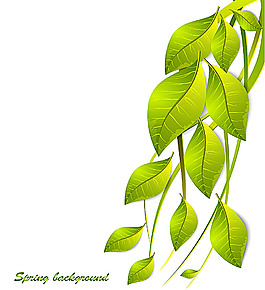 绿叶背景边框
