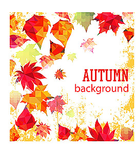 秋天树叶背景图案