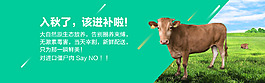 秋季进补