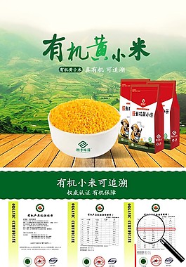 有机薏米