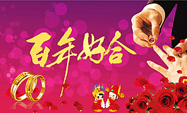百年好合