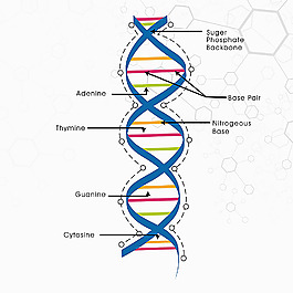 素材化学试验生化技术分子结构的研究分析分子的背景设计分子形状的