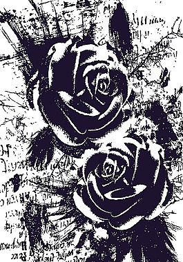 玫瑰花插画印花