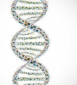 dna双螺旋结构 螺旋形图片