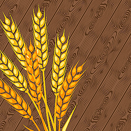 地板背景与麦穗