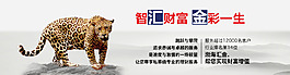 证券产品
