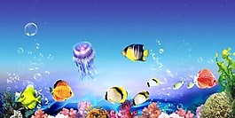 海底世界