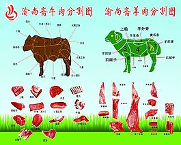 牛羊肉分割图
