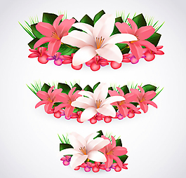 美丽的百合花