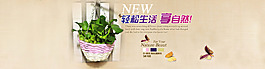 家居柳编花盆