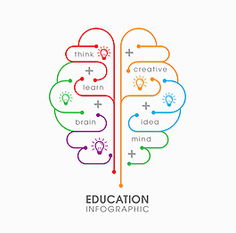 大脑教育信息图