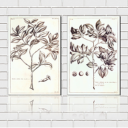 手绘植物壁画