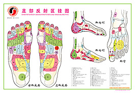 医疗挂图模板