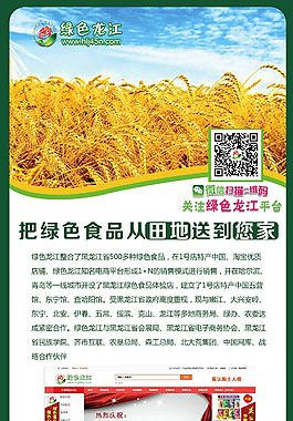 绿色食品展架