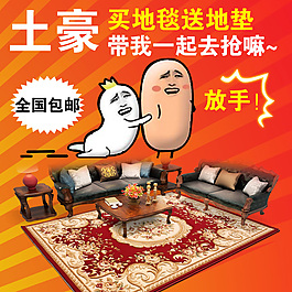 主图 800图 客厅地毯