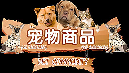 宠物海报 活动海报 全屏海报