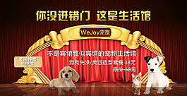 宠物海报 活动海报 全屏海报