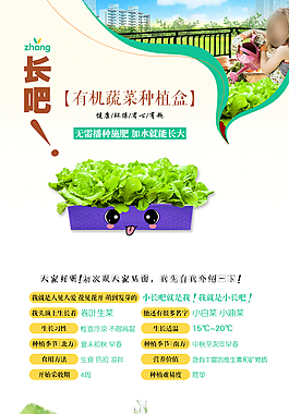 生菜有机蔬菜种植盒产品描述