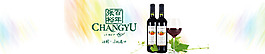 张裕酒banner