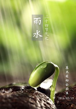 雨水