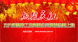 域名启用
