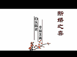 婚庆片头