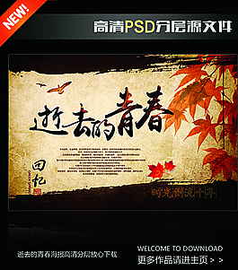 失去的青春图片