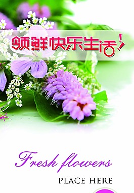 鲜花水果图片